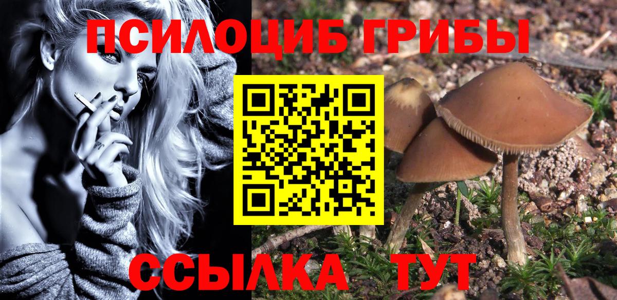 ТГК  Вход с VPN  Канабис  А ПВП СОЛЬ   ЭКСТАЗИ  ГАШ  Где купить наркотики?  Cocaine  Меф  Камень-на-Оби  МЕФ  