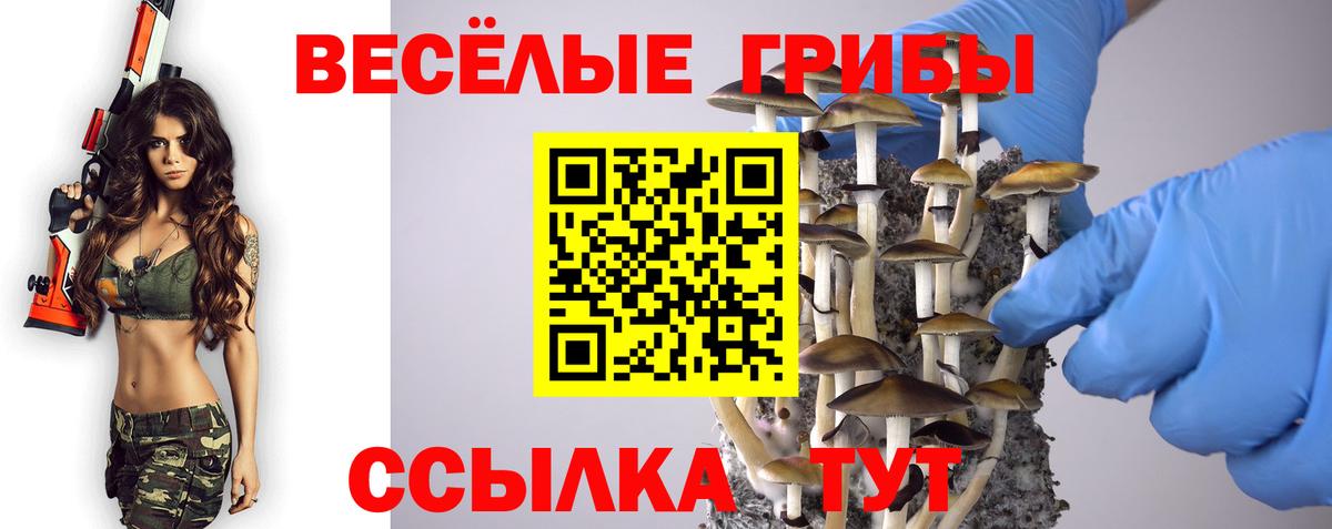 Галлюциногенные грибы Magic Shrooms  Псилоцибиновые грибы Psilocybine cubensis  Вход с VPN  Камень-на-Оби 